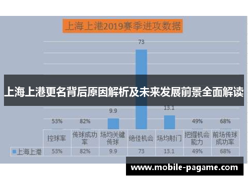上海上港更名背后原因解析及未来发展前景全面解读