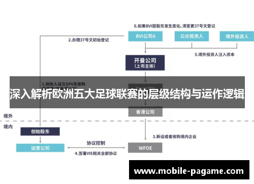 深入解析欧洲五大足球联赛的层级结构与运作逻辑