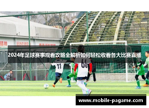 2024年足球赛事观看攻略全解析如何轻松收看各大比赛直播