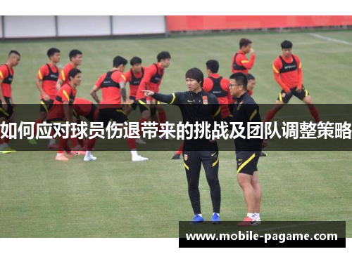 如何应对球员伤退带来的挑战及团队调整策略